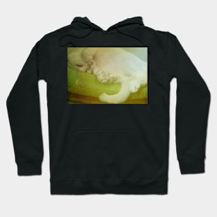 Sleeping White Cat Hoodie